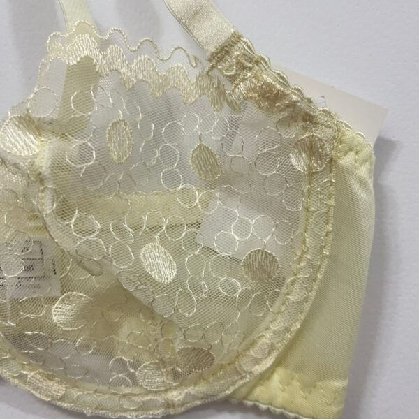 نمای نزدیک از کاپ فنردار سوتین فانتزی با تور شیشه‌ای و گلدوزی خالدار برجسته